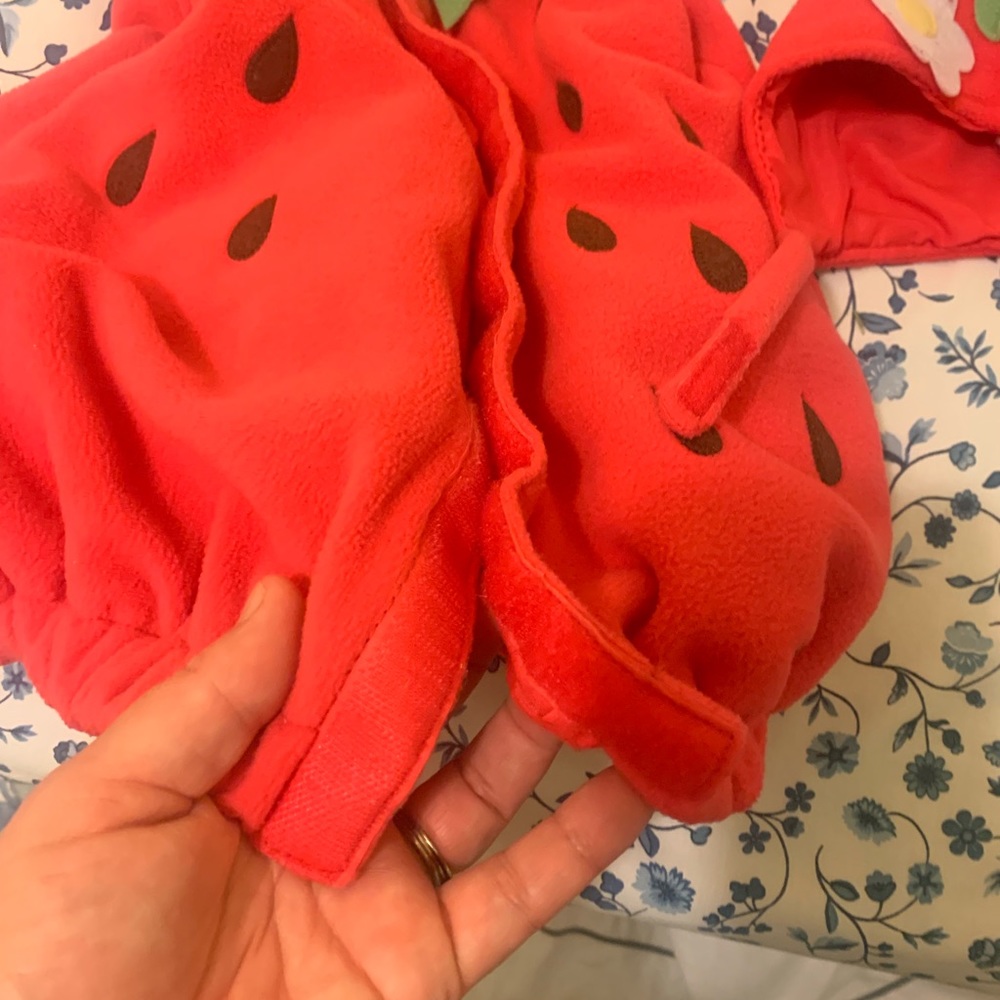 Strawberry Costume for Baby